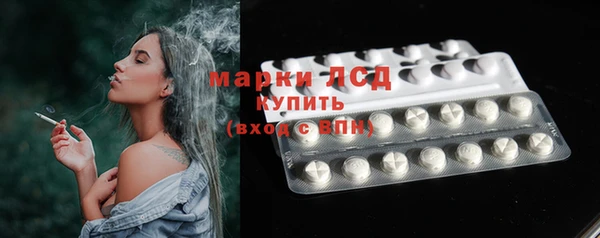 мяу мяу мука Абаза