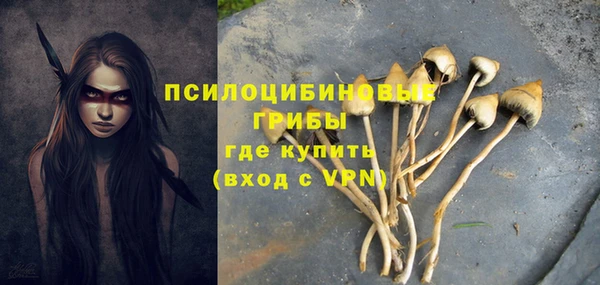 мяу мяу мука Абаза
