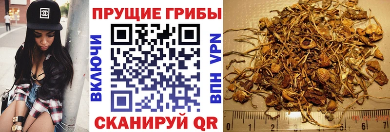 Галлюциногенные грибы ЛСД  Алатырь 